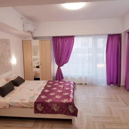 Casa Muncel * 康斯坦察